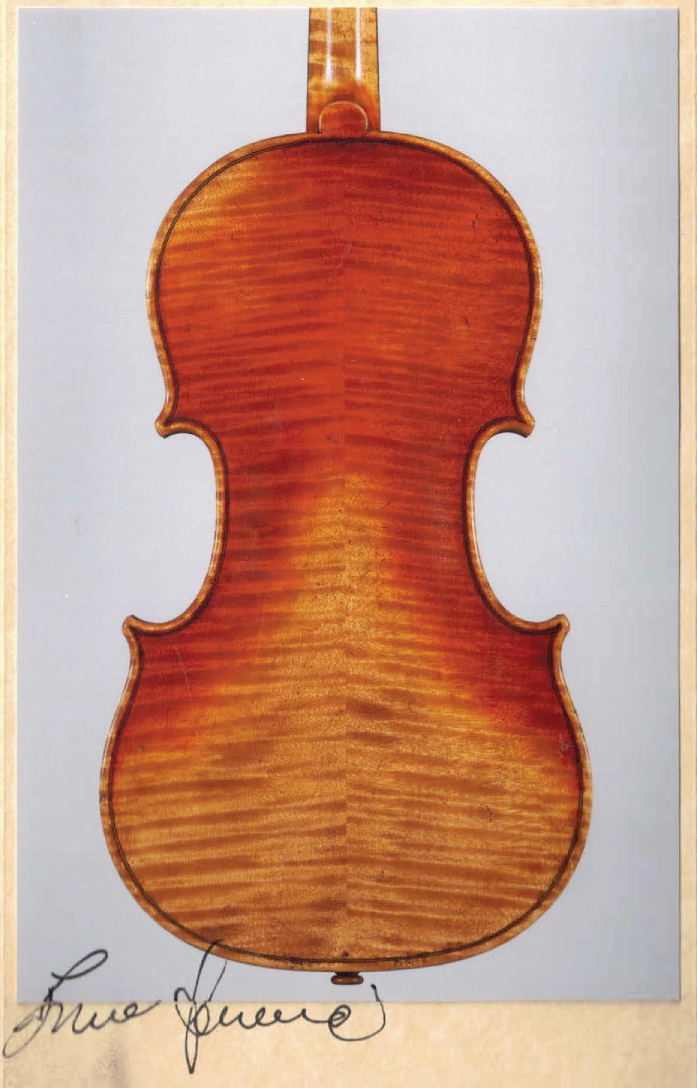 Luca Fiammeni - Cremona, 2024 — Terra Nova Violins